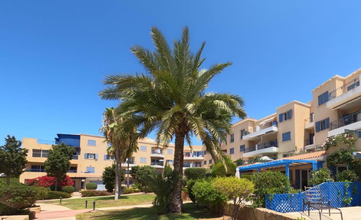 Timeless Cyprus Lägenhet Paphos Exteriör bild